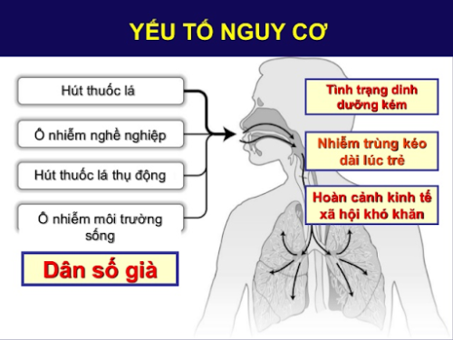 han che dot cap benh copd